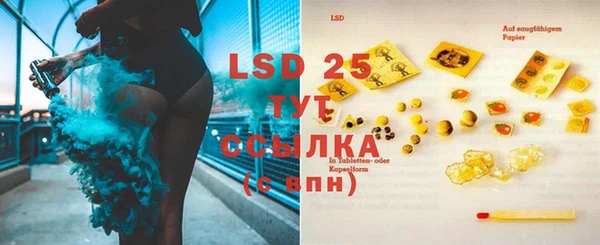 индика Карталы