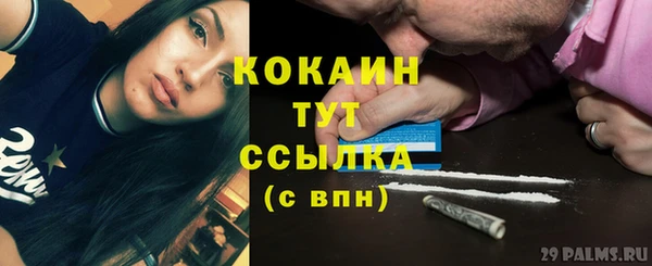 PSILOCYBIN Карпинск