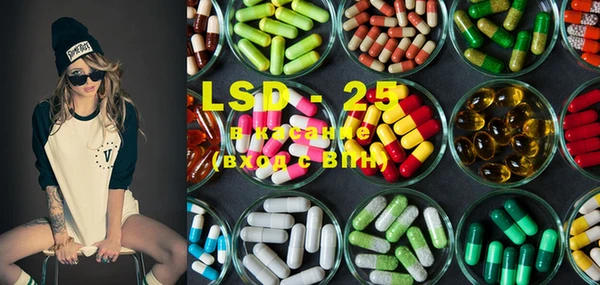 PSILOCYBIN Карпинск