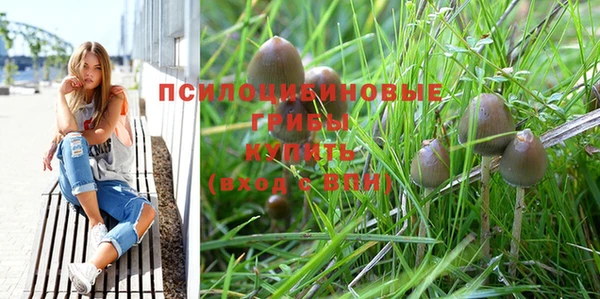 PSILOCYBIN Карпинск