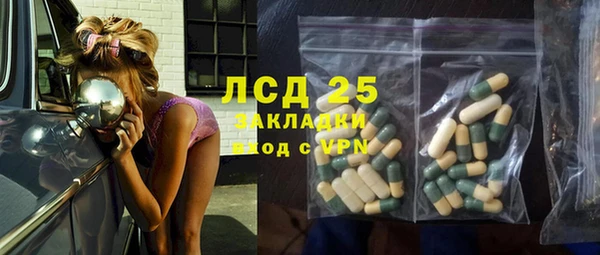 индика Карталы